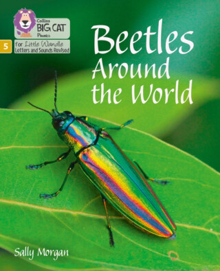 Beetles Around the World - Sally Morganová