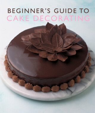 Beginner'S Guide to Cake Decorating - Murdoch Books Test Kitchen