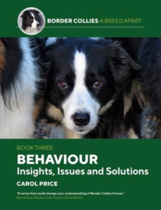 Behaviour: INsights, Issues and Solutions - Price Carol