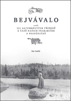 Bejvávalo (Defekt) - Petr Kadlík