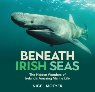 Beneath Irish Seas - Nigel Motyer