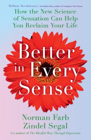 Better in Every Sense - Segal Zindel,Norman Farb