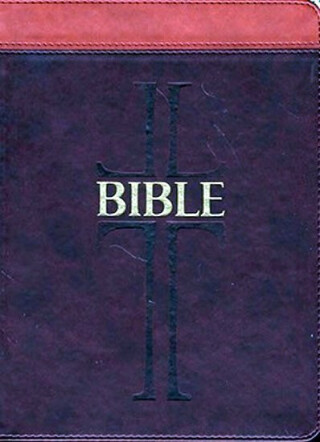 Bible (kůže) - neuveden
