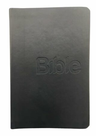 Bible, překlad 21. století (Black) - Alexandr Flek