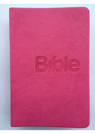 Bible, překlad 21. století (Pink) - Alexandr Flek