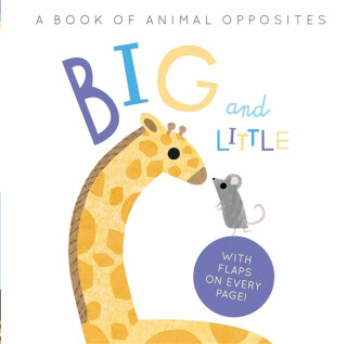 Big and Little - Harriet Evans,Linda Tordoff