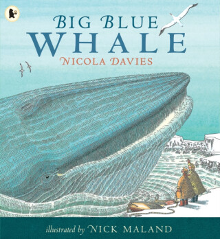 Big Blue Whale - Nicola Davies