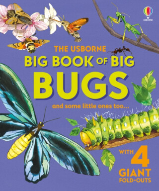 Big Book of Big Bugs - Emily Bone