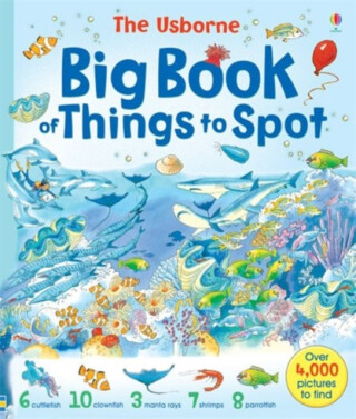 Big Book of Things to Spot - Gillian Doherty,Anna Milbourneová,Ruth Brocklehurst