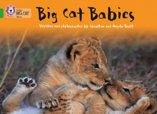 Big Cat Babies - Angela Scott,Jonathan Scott