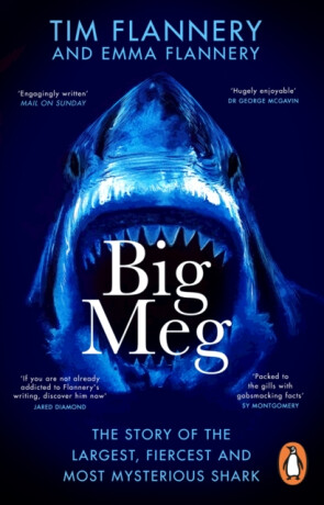 Big Meg - Tim Flannery,Emma Flannery