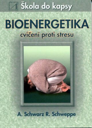 Bioenergetika - cvičení proti stresu - Ronald P. Schweppe,Aljoscha Schwarz