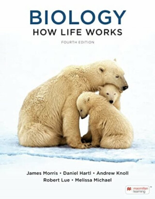 Biology: How Life Works (International Edition) - James Morris,Andrew Berry,Robert Lue,Melissa Michael,Daniel Hartl,Andrew Knoll,Andrew Biewener