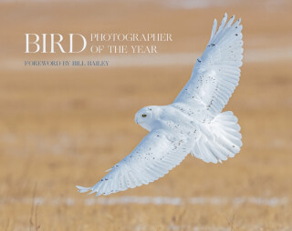 Bird Photographer of the Year - Bird Photographer of the Year
