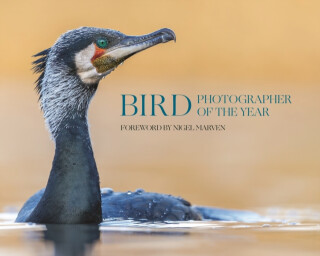 Bird Photographer of the Year - 