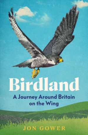 Birdland - Jon Gower