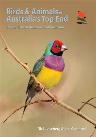 Birds and Animals of Australia's Top End - Iain Campbell,Nick Leseberg