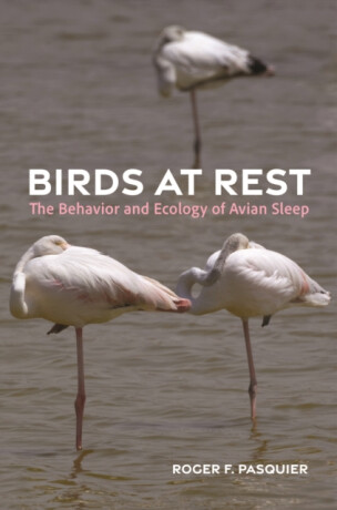 Birds at Rest - Roger Pasquier