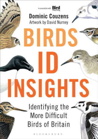 Birds: ID Insights - Dominic Couzens