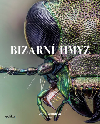 Bizarní hmyz - Jiří Procházka,kolektiv autorů,Miroslav Ambroz