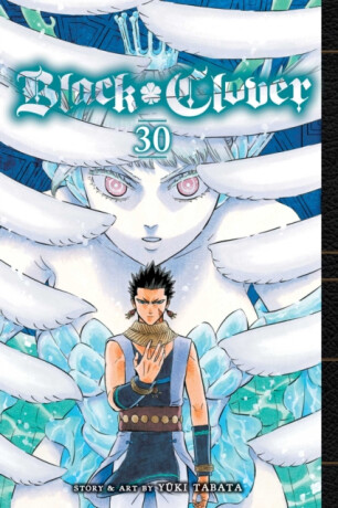 Black Clover, Vol. 30 - Yuki Tabata