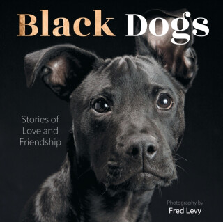 Black Dogs - Fred Levy