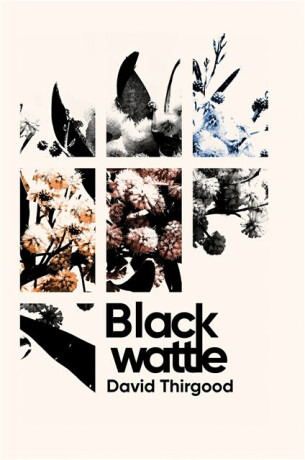 Blackwattle - David Thirgood