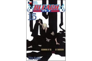Bleach 15: Beginning of death tomorrow - Tite Kubo