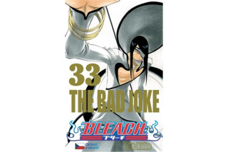 Bleach 33 - Tite Kubo