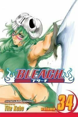 Bleach 34 (anglicky) - Tite Kubo