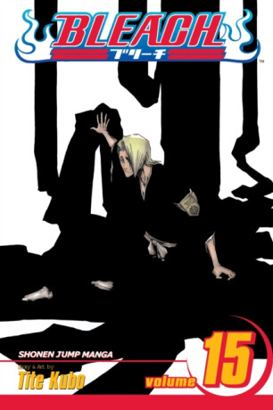 Bleach, Vol. 15 - Tite Kubo