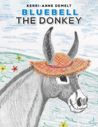 Bluebell the Donkey - Kerri-Anne Demelt