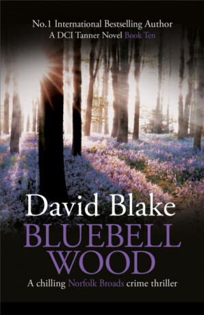 Bluebell Wood - David Blake