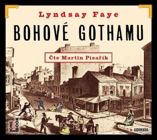 Bohové Gothamu - Lyndsay Fayeová,Martin Písařík