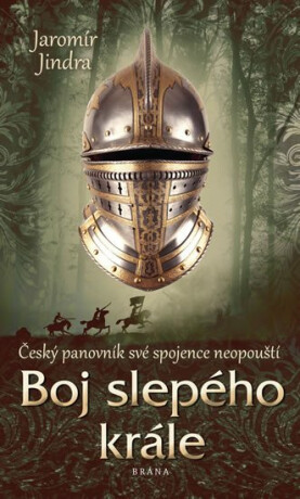 Boj slepého krále (Defekt) - Jaromír Jindra
