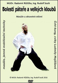 Bolesti páteře a velkých kloubů 2 - Radomír Růžička,Rudolf Sosík