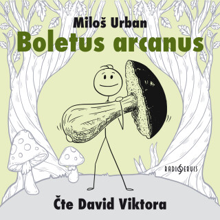 Boletus arcanus - Miloš Urban