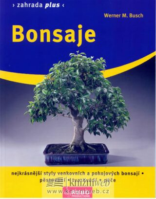 Bonsaje - Werner M. Busch