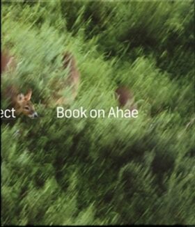 Book on Ahae - Milan Knížák