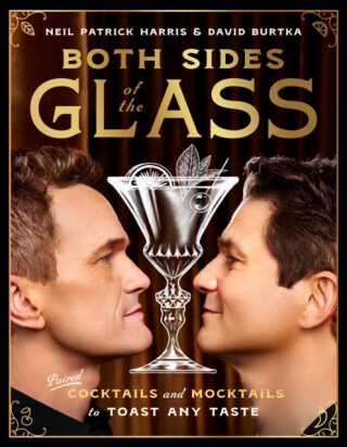 Both Sides of the Glass - Neil Patrick Harris, David Burtka