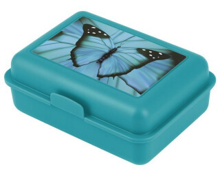 Box na svačinu Butterfly - 