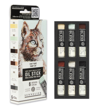Box Oil stick mini 6ks Tabby cat - 