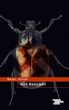 Boxer, brouk - Beauman Ned
