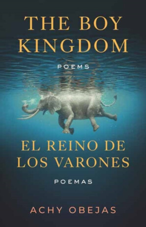 Boy Kingdom / El reino de los varones,The - Achy Obejas