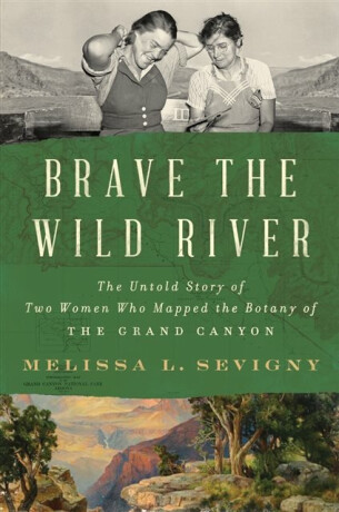 Brave the Wild River - Melissa L. Sevigny