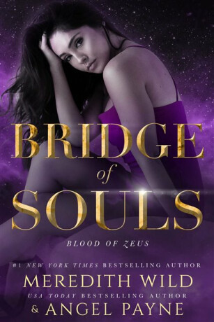 Bridge of Souls - Meredith Wild,Angel Payne