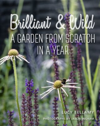 Brilliant & Wild - Lucy Bellamy