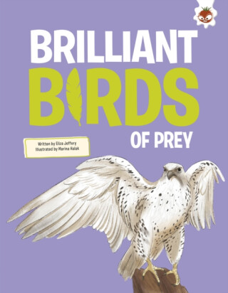 Brilliant Birds of Prey - Rosie Rowntree