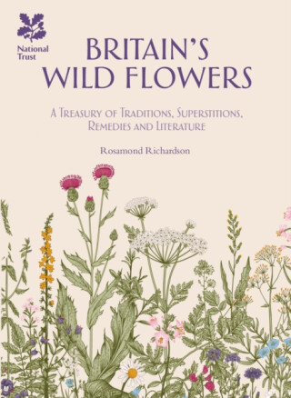 Britain's Wild Flowers - National Trust Books,Rosamond Richardson