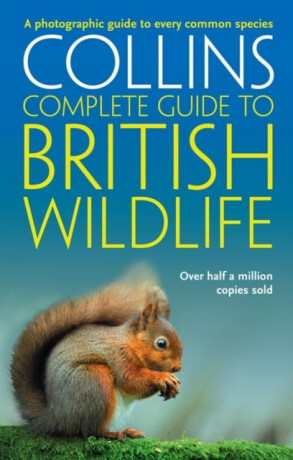 British Wildlife - Paul Sterry